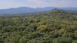 Большехехцирский заповедник