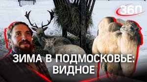 «Зима в Подмосковье» : что можно посмотреть в Видном, достопримечательности Видного