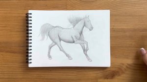 Как нарисовать лошадь карандашом | Рисунок для начинающих поэтапно