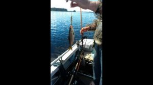 Лексозеро!!! Карелия 2016!!! Фотоколлаж о Рыбалке!!!