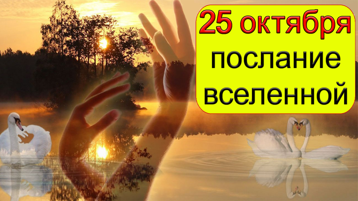 ПОСЛАНИЕ ВСЕЛЕННОЙ на 25 октября.*Эзотерика Для Тебя*