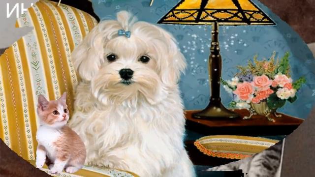 Добрый вечер!  Good evening!  Доброй ночи чудесного вечера!  1