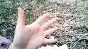 как помыть руки без воды в походе!лайфхак!