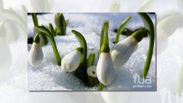 Дыхание весны смотреть онлайн