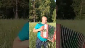 Мужик в поле красиво играет и поет на гармошке ❤️Рустам Зиатдинов