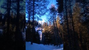 4 неделя медитации по ДЖО ДИСПЕНЗА.