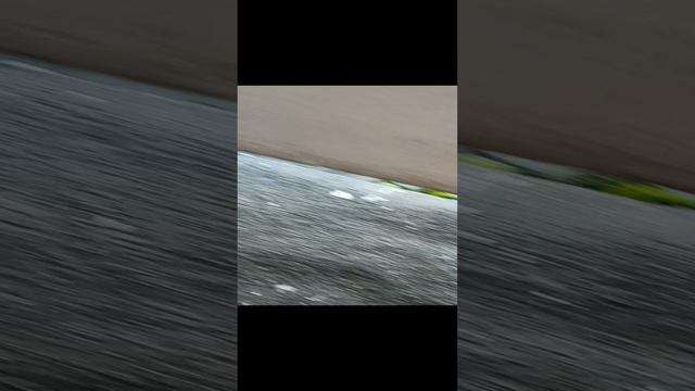 Отвратительная работа ГБУ Жилищник района Зюзино города Москвы