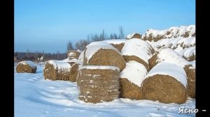 Михаил Хазин. Вероятно, они не успеют...