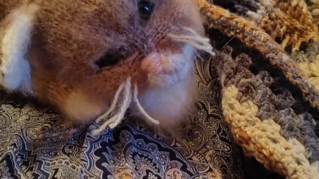 Реалистичные Амигуруми.Кошечка спицами.