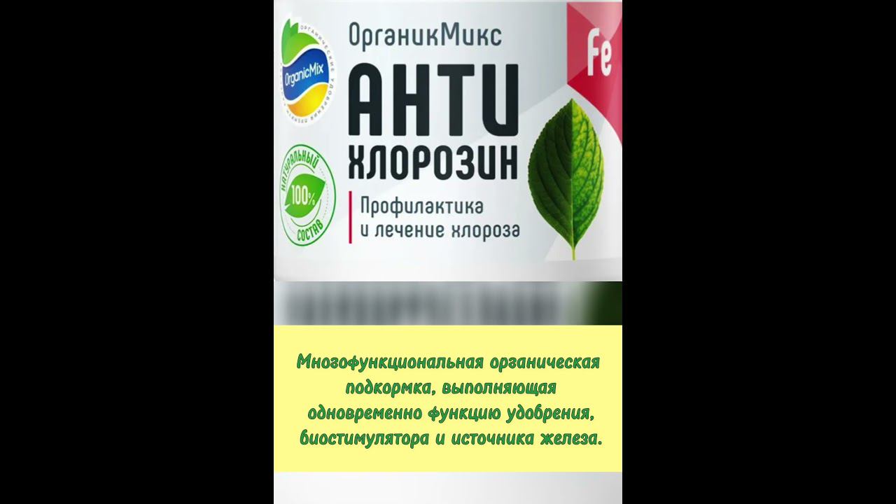 Как избавиться от хлороза? Препараты от хлороза #советысадоводам #препараты