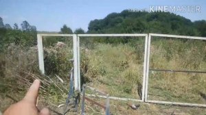 Рестоврация распашных ворот