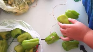 Влог "Турецкие байки". Как я сушу и замораживаю овощи\\ Пришел, наконец, икамет