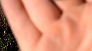 Коп в Чувашии.Серебро на Ака Сорекс Про. Шикардос!!!