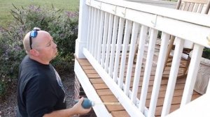 WASP!! ////HOW WE CONTROL WASPS WITH DELTA DUST!!!////