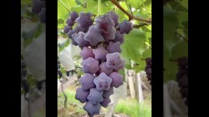 Знакомство 🥰🌷