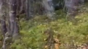 Дышащая земля