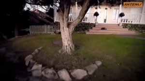 Бензопила Штенли в работе