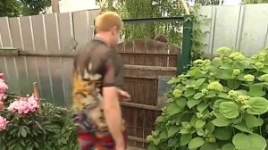 Званый ужин 289 неделя (2 день) 27.08.2013