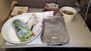 Нелёгкая дорога домой . Казахстан - Корея - Австралия . Kazakhstan Korea  Australia . Элла Австрали