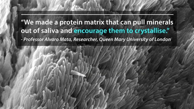 Scientists develop material that could regenerate dental enamel смотреть онлайн