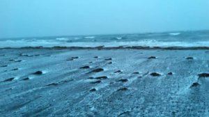 Охота на Сахалине в ноябре