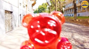 КАК МЫ ЕЗДИЛИ В ИТАЛИЮ С МЕДВЕДЕМ ВАЛЕРОЙ.mp4