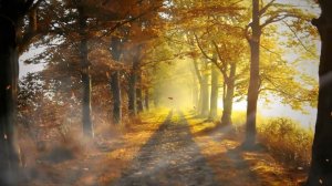 Демо "Осень милая, шурши" муз. и сл. А.Бобровой, вокал Алисы Мевиус