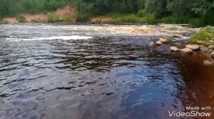 Бракловицы. Отдыхаем в России. (река Полисть)