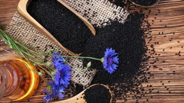 Una Pianta che "Guarisce tutto, fuorché la morte" смотреть онлайн