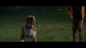 PREDATOR 2 Best Action English Movie || Sci-fi Powerful Full HD English Movie