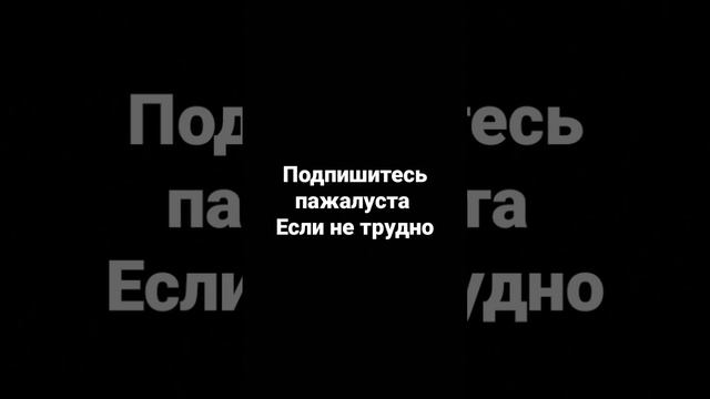 пр подпишитесь а я навас подпишусь кто смотрит жто видео