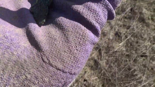 Не играй в Minecraft/Warcraft, гуляй шурфи ландшафт)) Урочище Малыгино смотреть онлайн