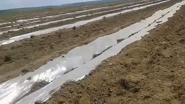 поля вко 11 мая смотреть онлайн