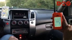 Самый честный тест gps ошейника Dog Gps X30