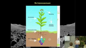 18. Очистка почвы от тяжёлых металлов. Лекция