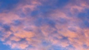 Стелла Джанни Небо