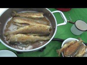 Теренсуг. Часть вторая.