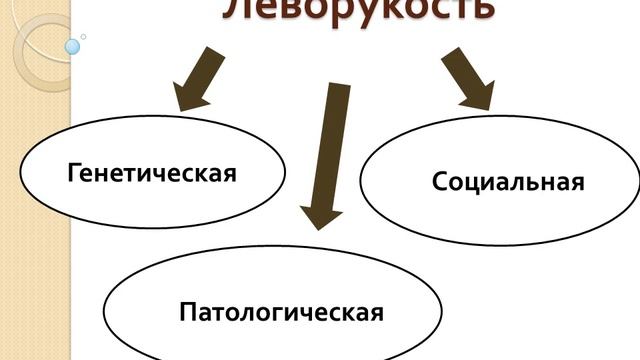 "Ребенок- левша и его речевое развитие.