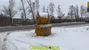 Цена Сена | Бизнес с пресс-подборщиком