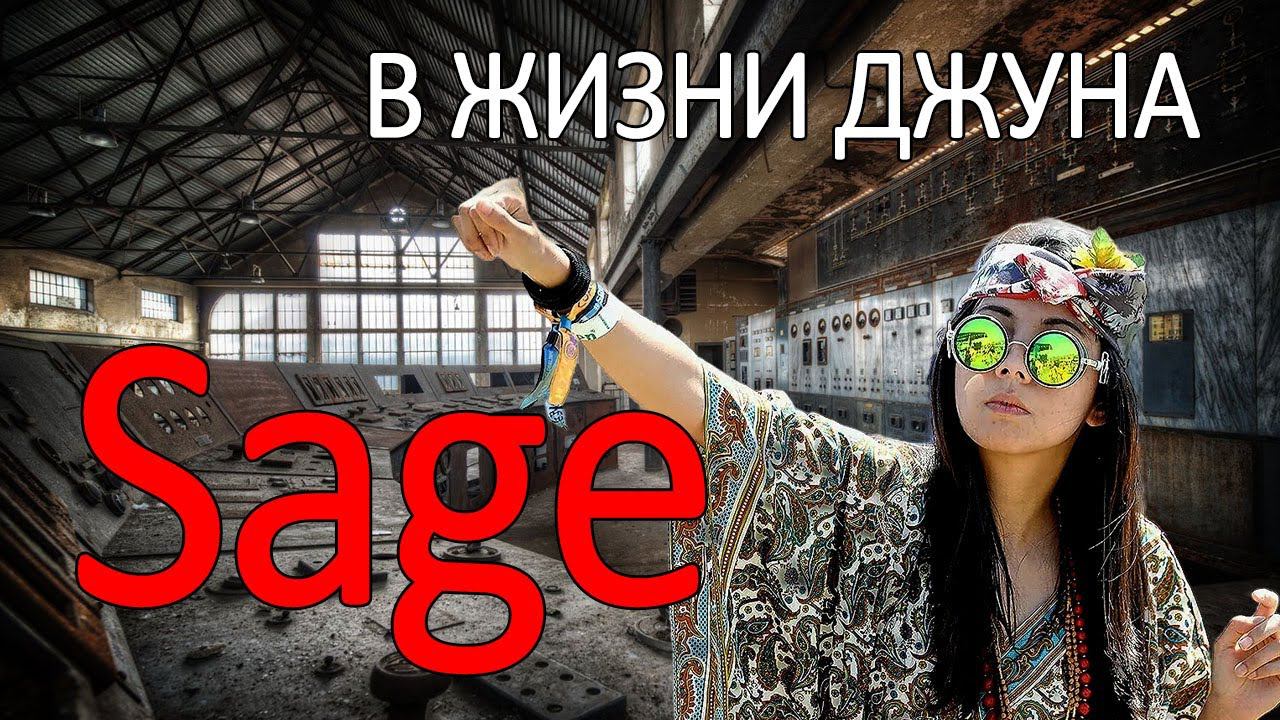 Программируем вместе с Sage. Имеет ли чат бот ценность для джунов. Полезен ли в повседневной работе. смотреть онлайн