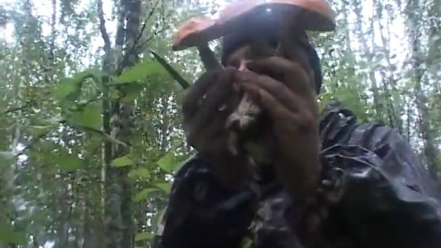 С Ваньком за грибками смотреть онлайн