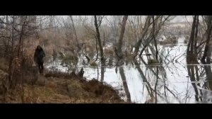 Жизнь моя как сельская дорога