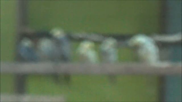 ^^ Поездка в тц. "Vegas" Москва ^^ смотреть онлайн