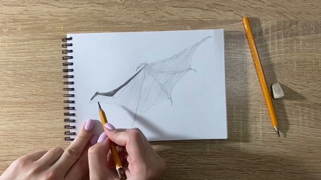 Как нарисовать крыло карандашом | Рисунок для начинающих поэтапно