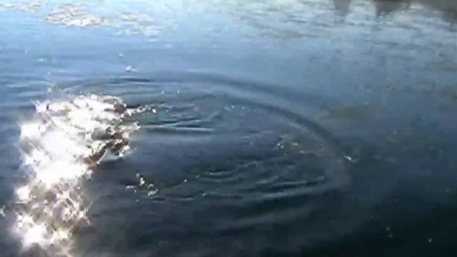 ЛОВЛЯ ЩУКИ НА СПИННИНГ, РЫБАЛКА В СИБИРИ смотреть онлайн