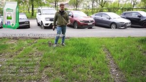 Из 12 травосмесей газона выжило только 4! Выбор семян, результат спустя год