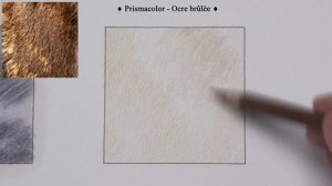 COMMENT DESSINER de la FOURRURE RÉALISTE au Crayon de COULEUR?