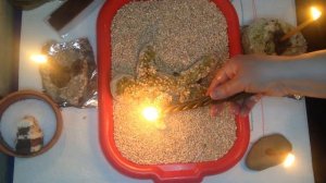 Обряд на выигрыш лотерейного билета