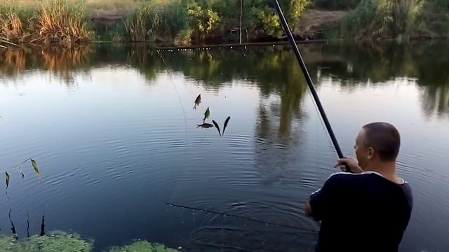 Красноперка на экраны. Вот это рыбалочка !