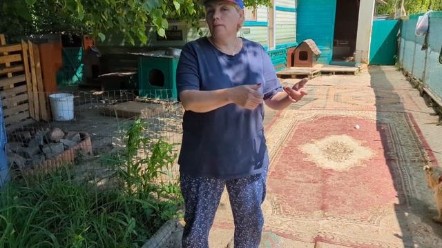 Полиция в приюте для бездомных животных! смотреть онлайн